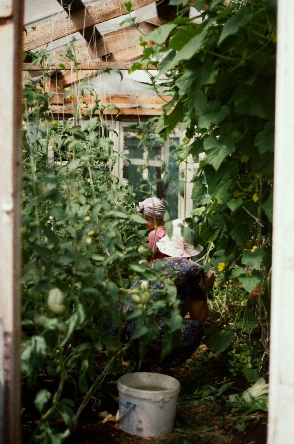 Una donna inginocchiata in un giardino con molte piante