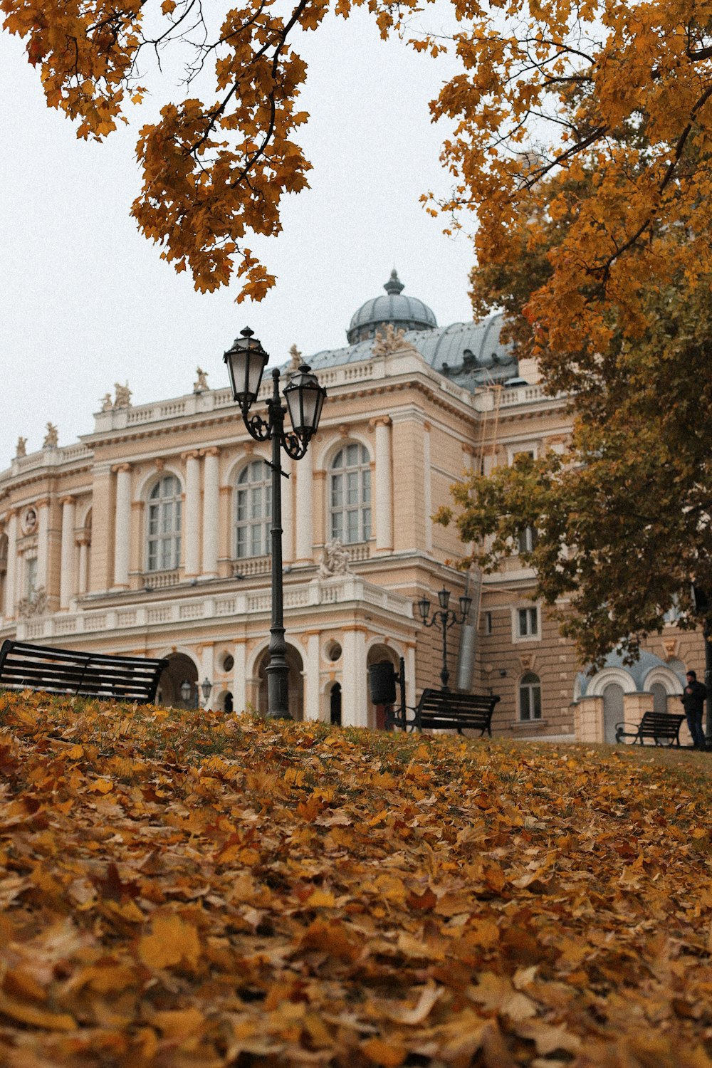 a large building with a lot of trees in front of it