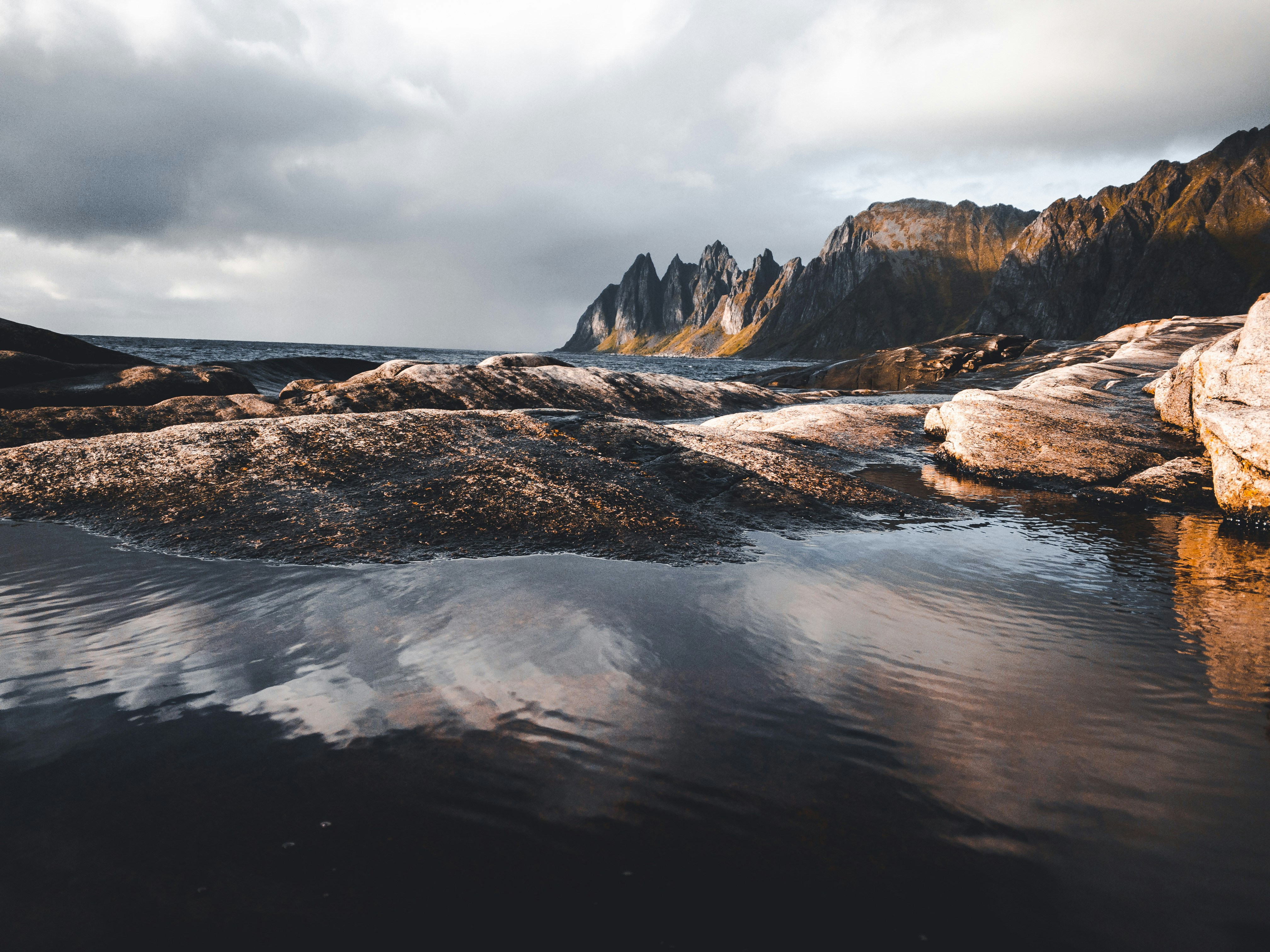 Photo by beckerworks