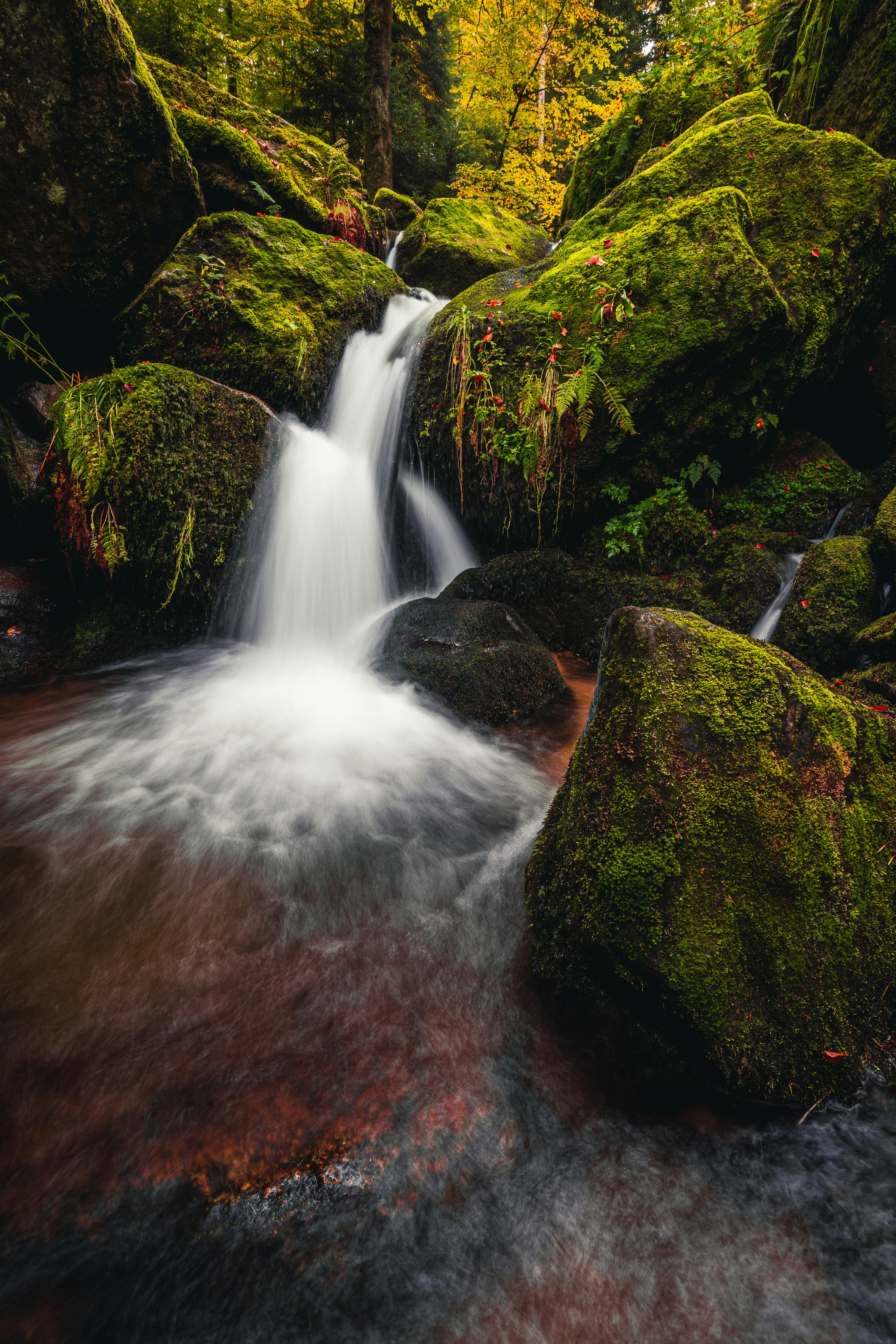 Photo by beckerworks