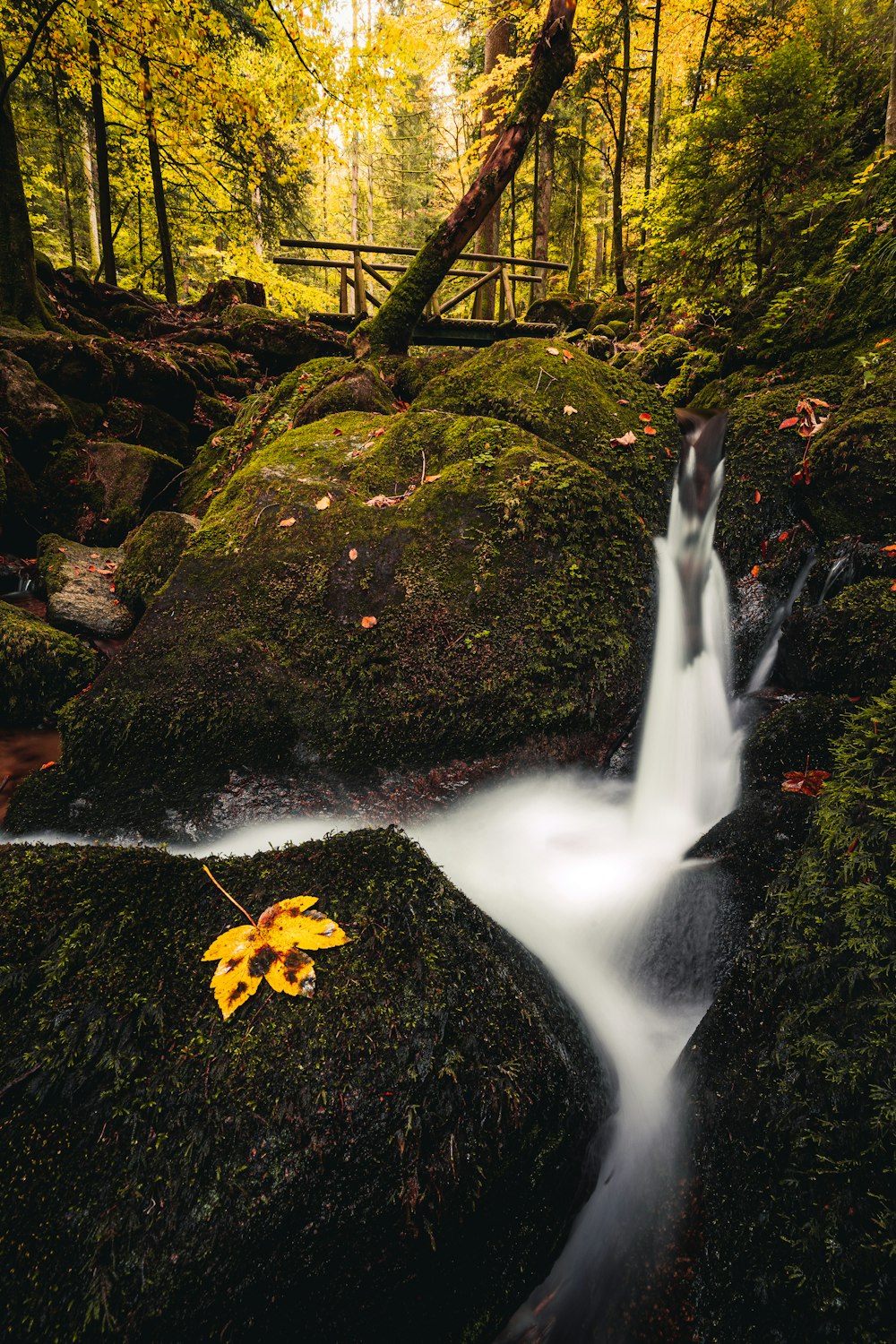 a large waterfall in a forest