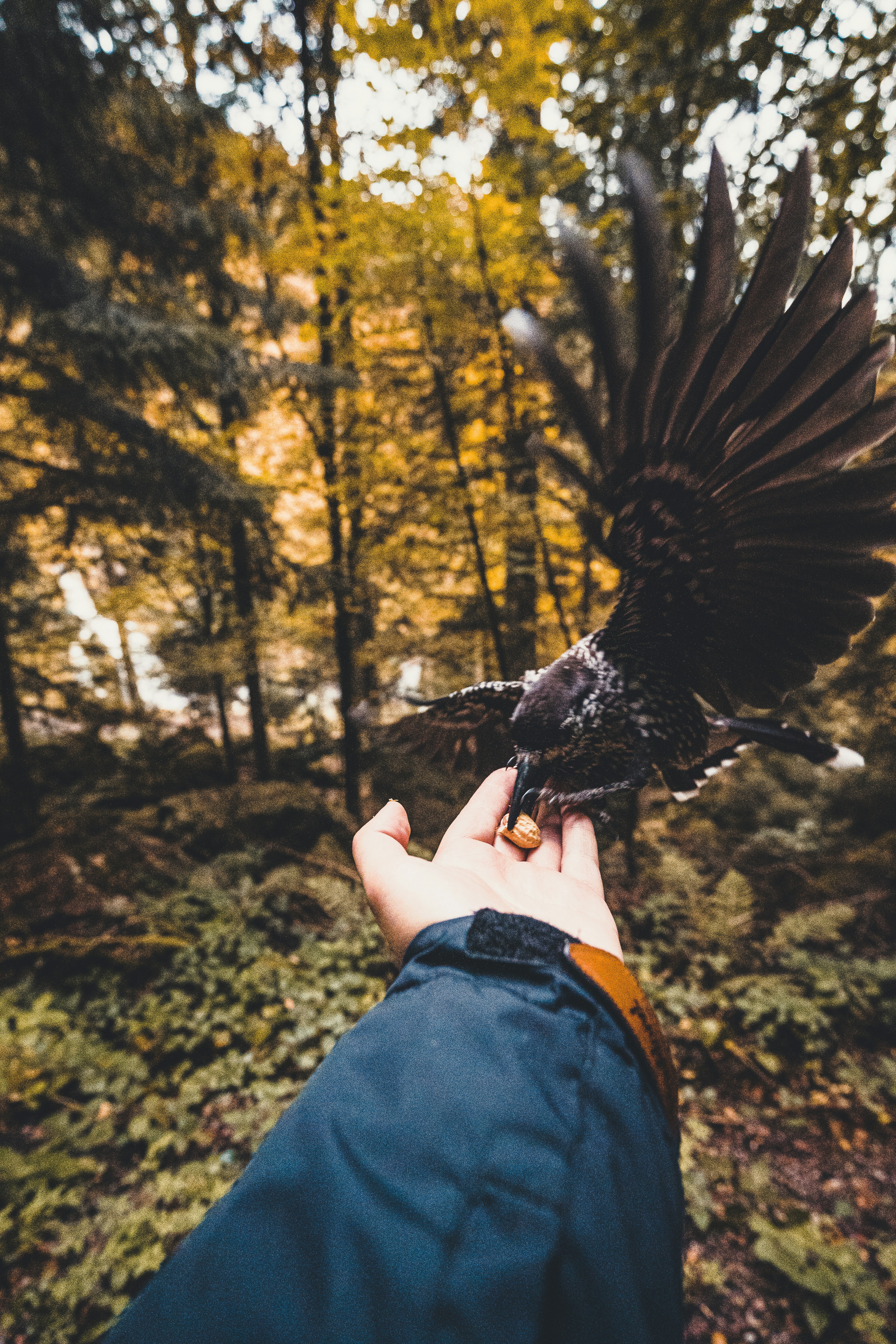 Photo by beckerworks