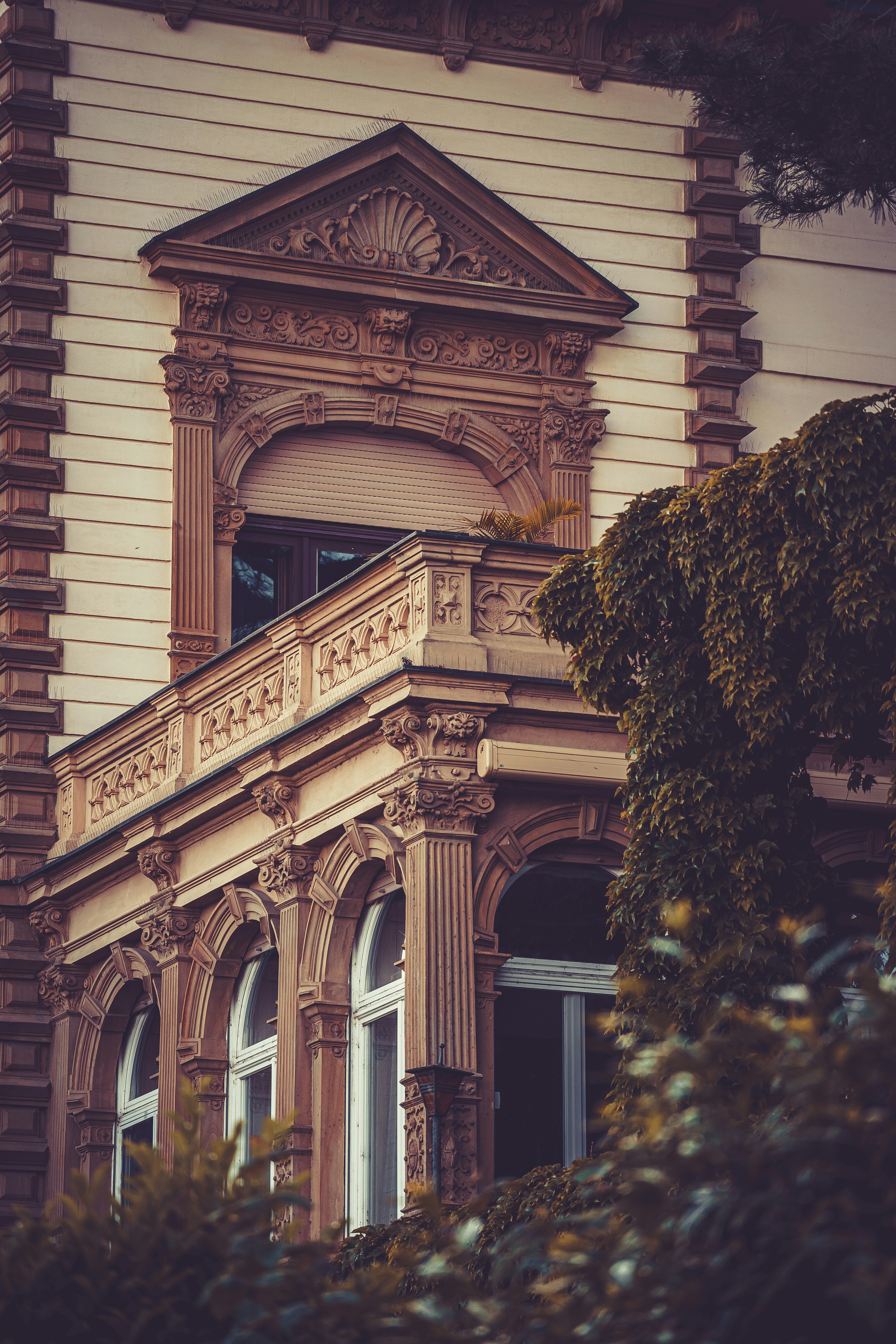 Photo by beckerworks