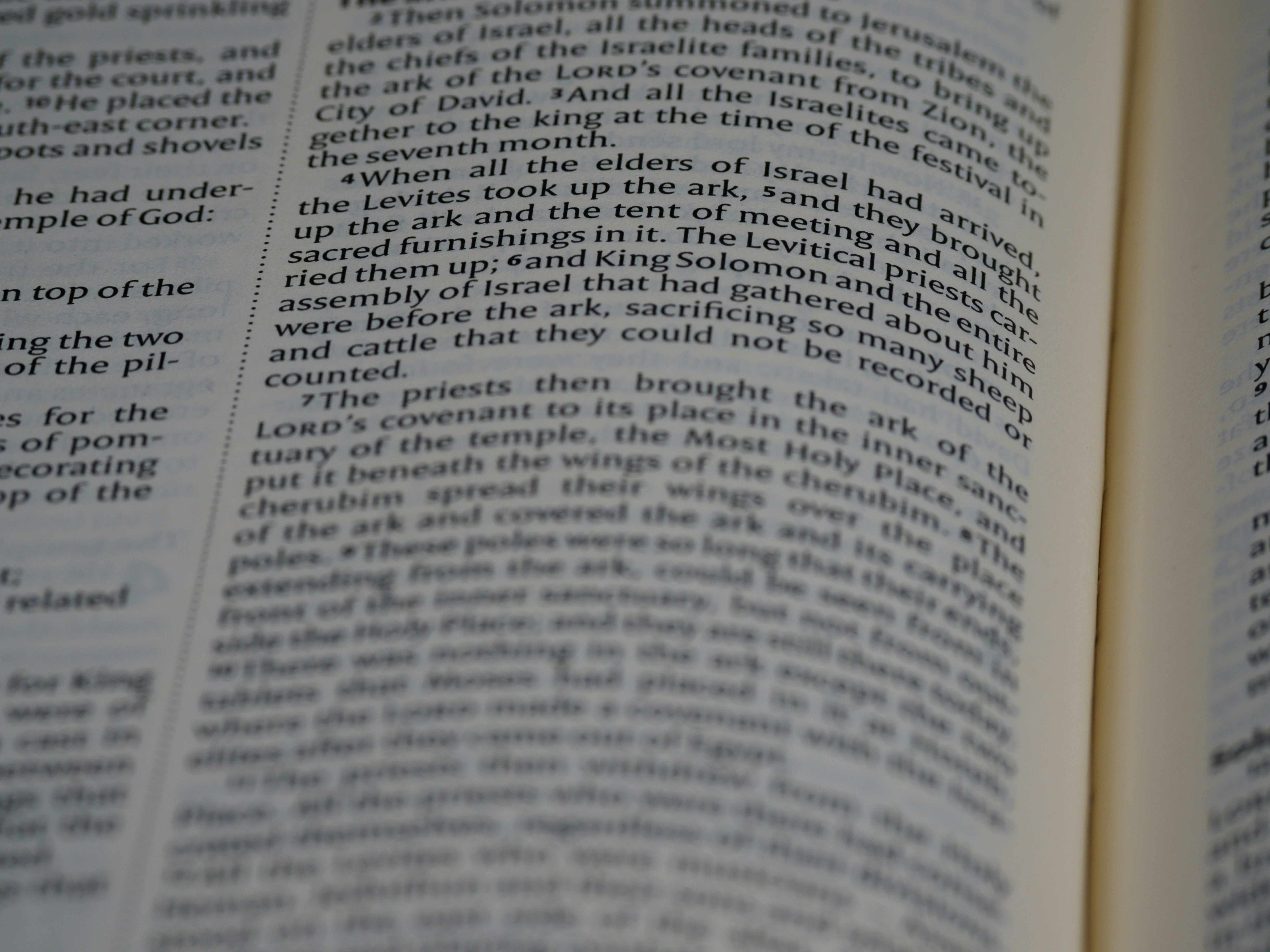 Photo by brett_jordan