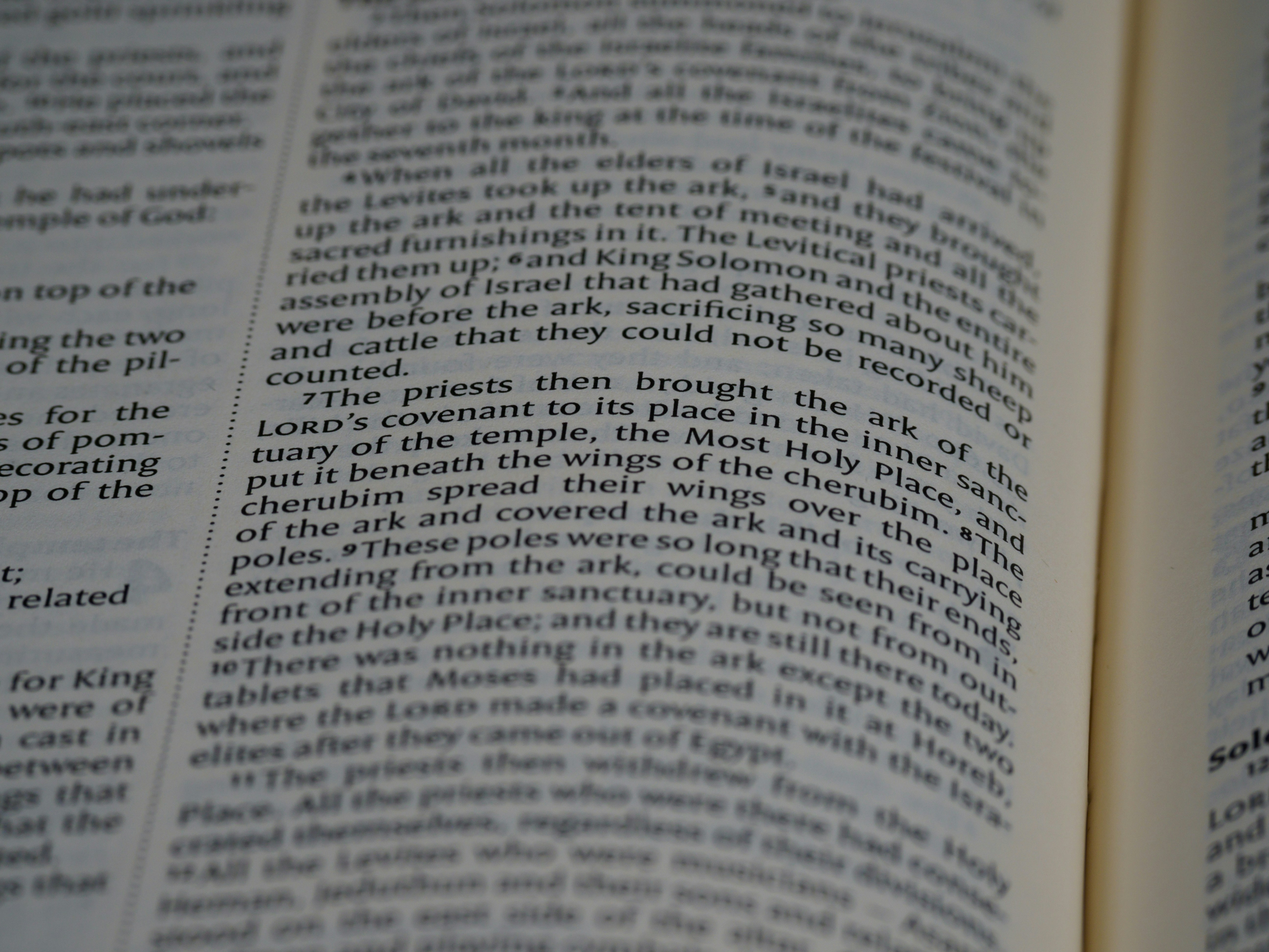 Photo by brett_jordan