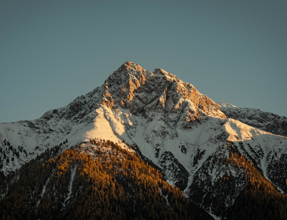 a snow covered mountain with pine trees in the foreground