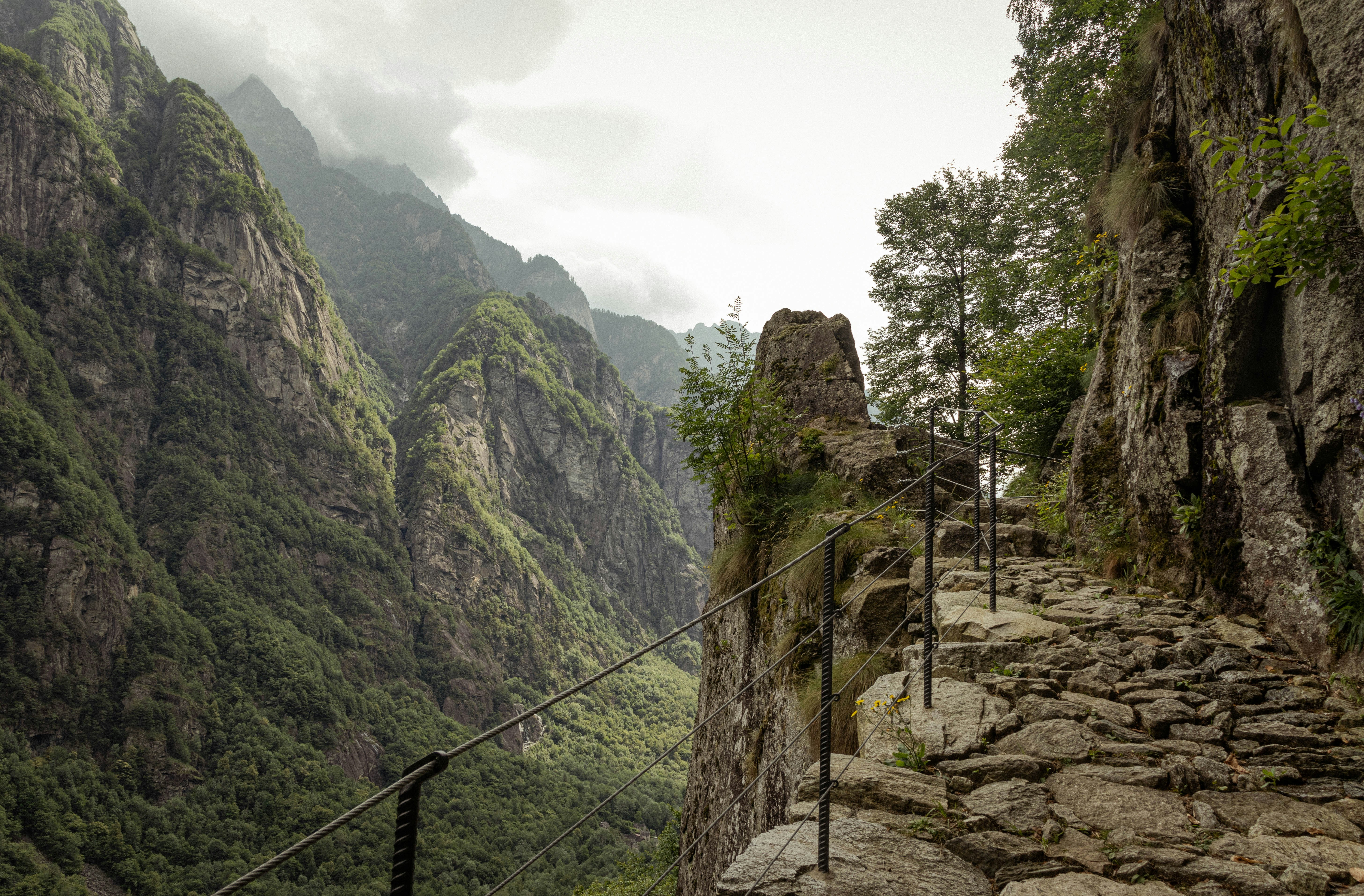 Photo by perspectivenature