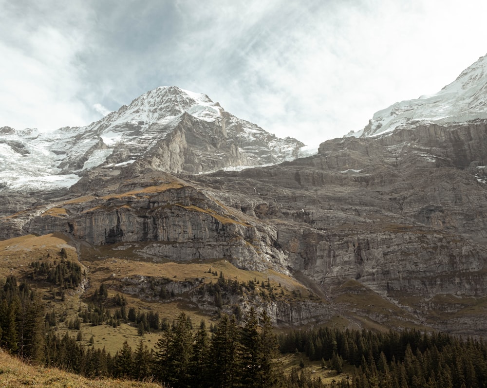 eine Bergkette mit Bäumen und Schnee darauf