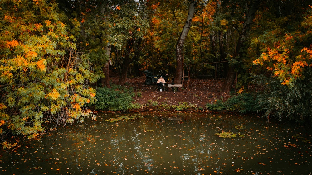 two people sitting on a bench near a pond