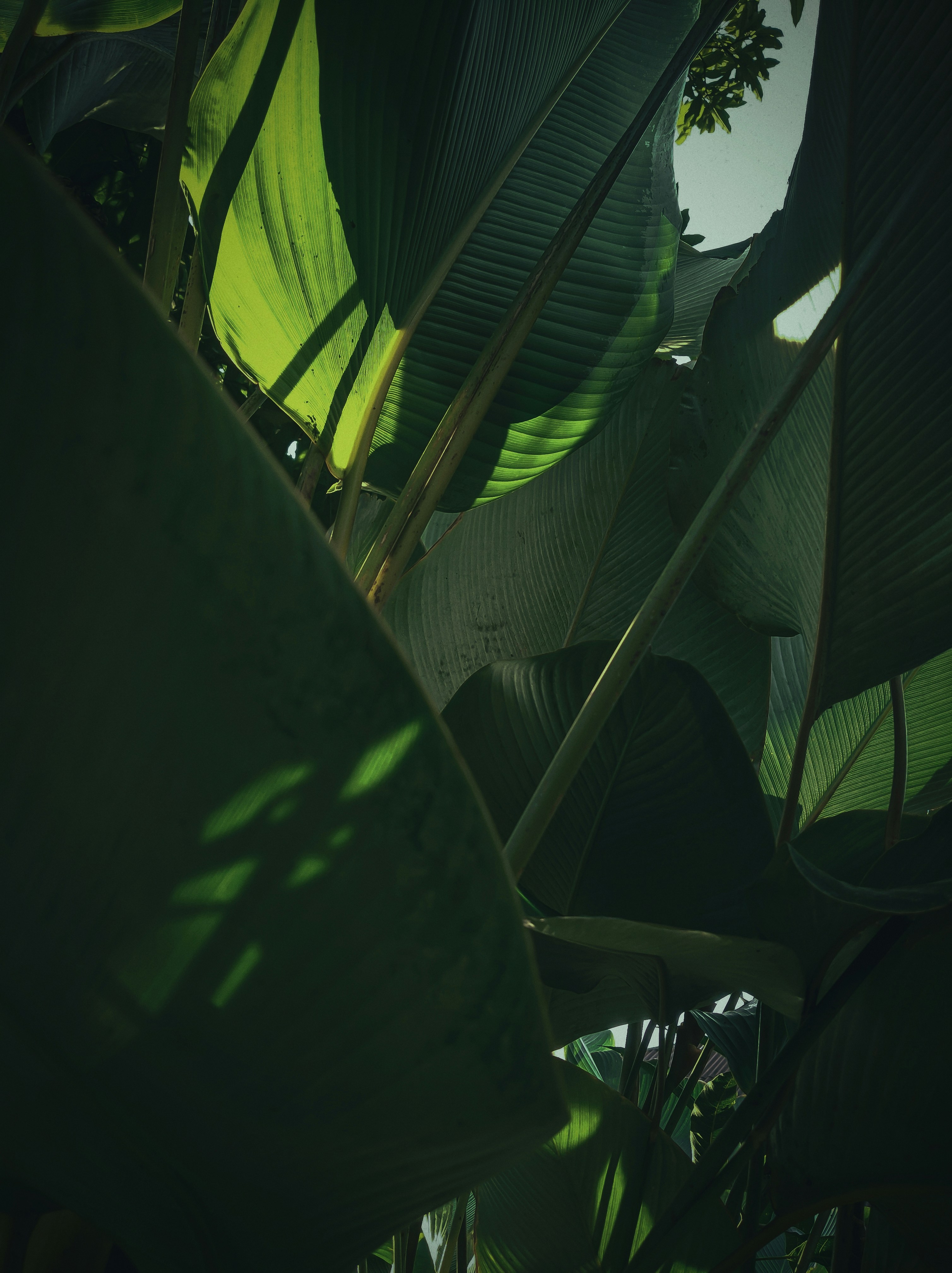 🎍Randomly Generated Map Prompts -ep 23