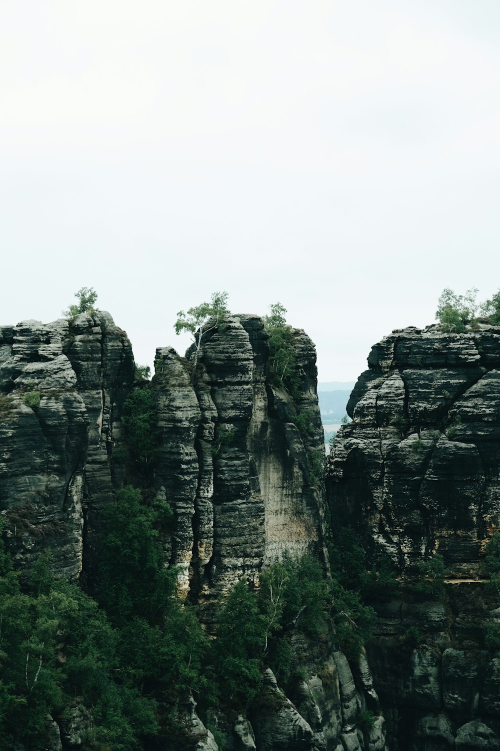 a large rock formation with trees growing out of it