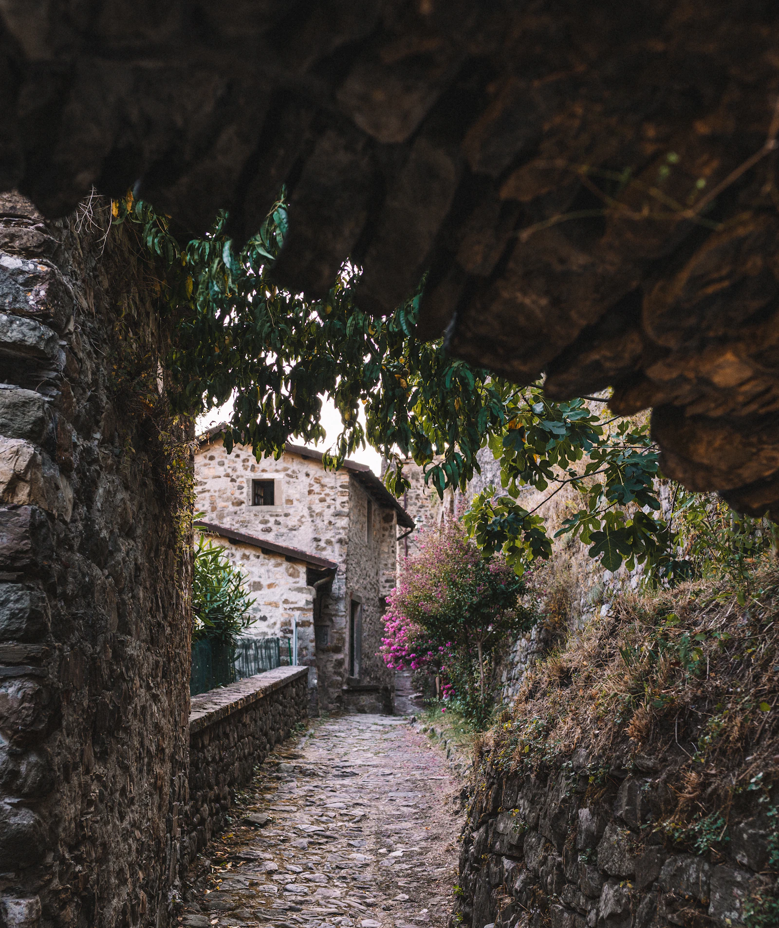 Cobbled lane between stone houses in a Lunigiana village