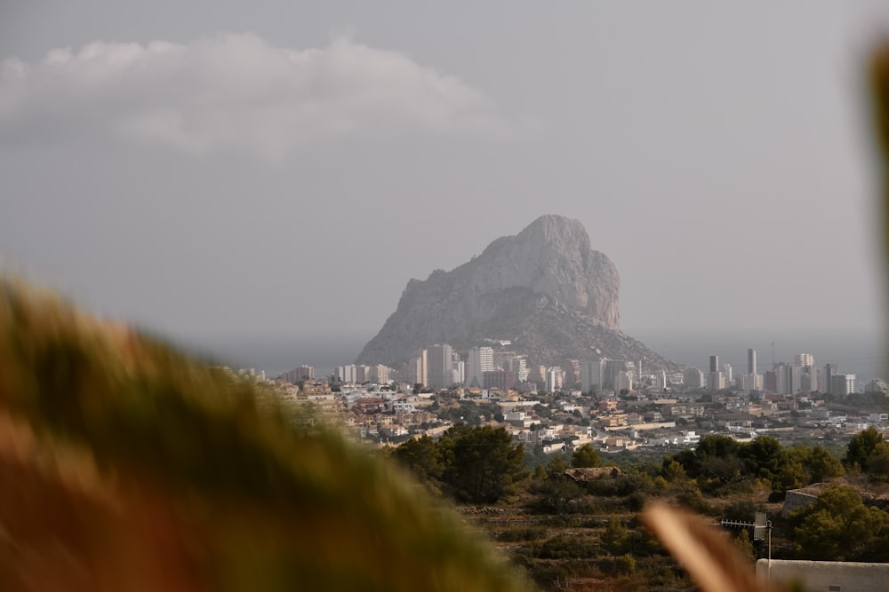 a view of a city with a mountain in the background