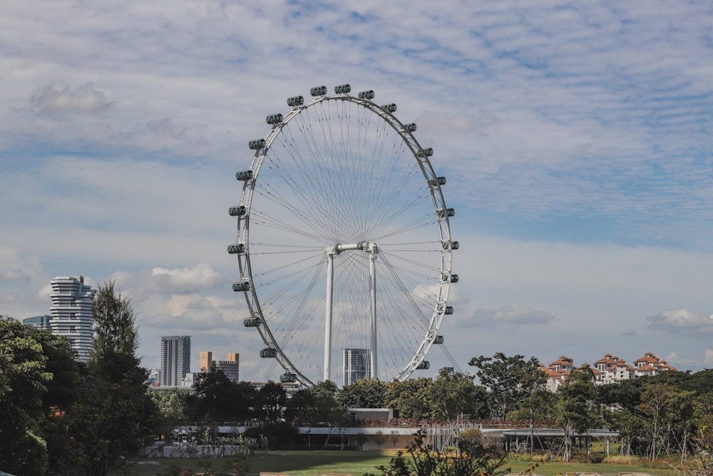 Una grande ruota panoramica nel mezzo di un parco