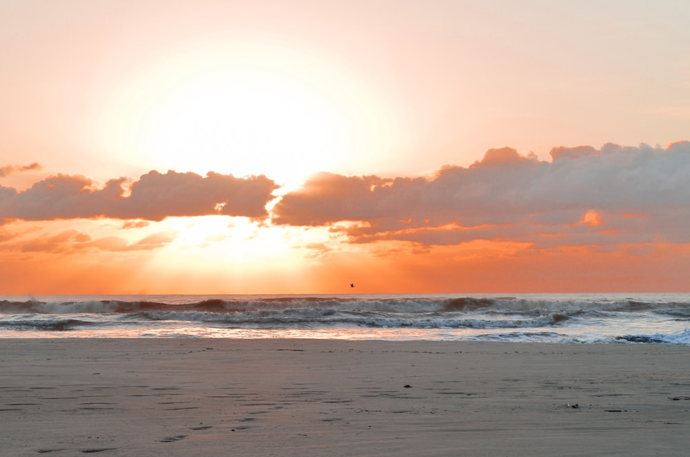 a person walking on a beach with a surfboard