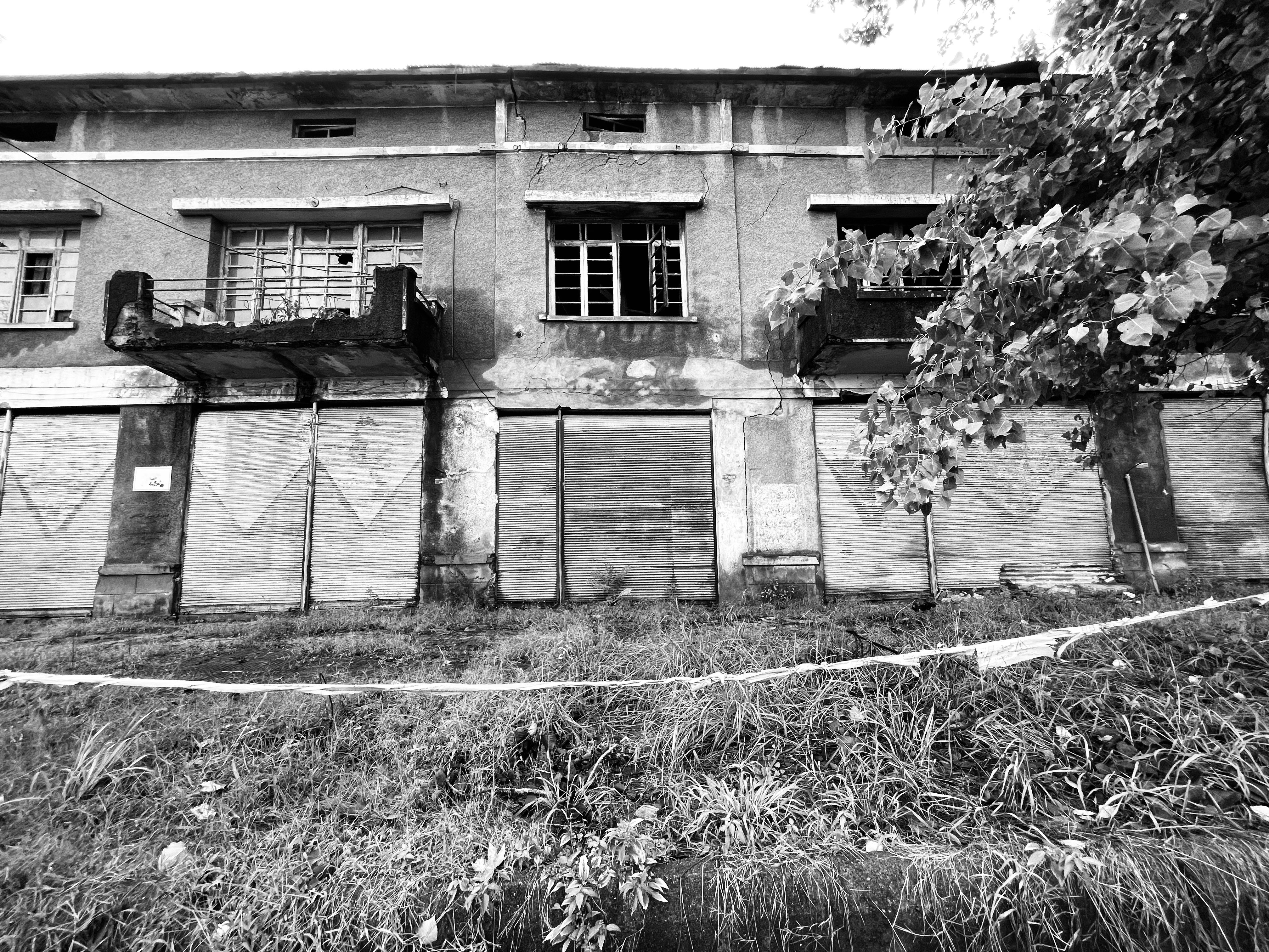 Photo by pouyaheydariyan