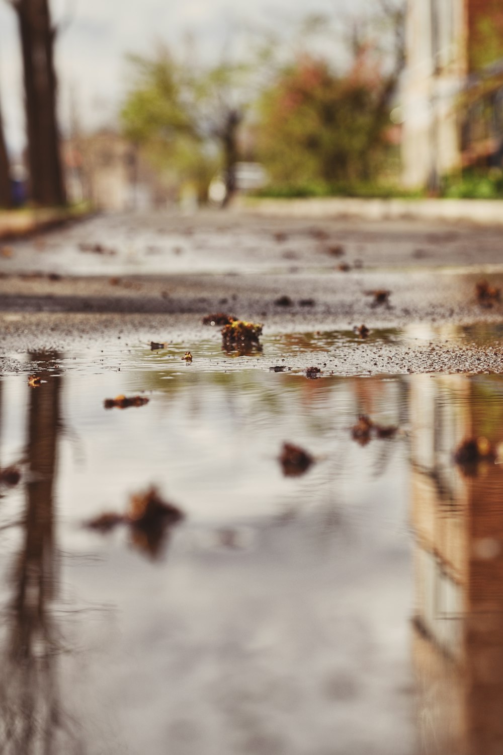 a puddle of water on a city street