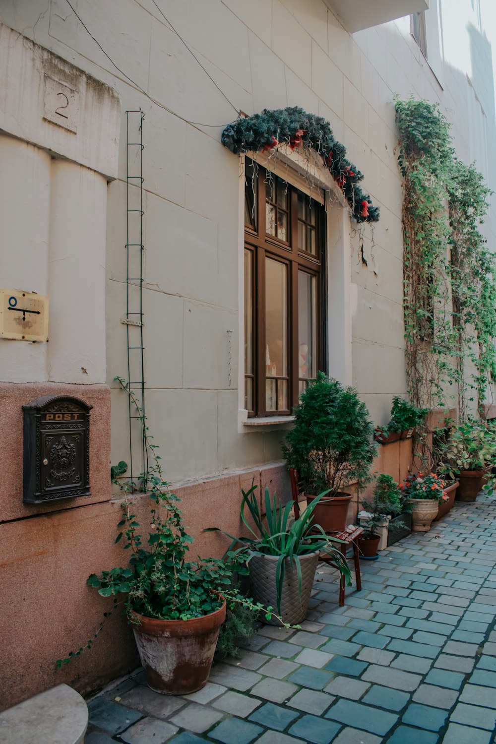 a row of potted plants on the side of a building