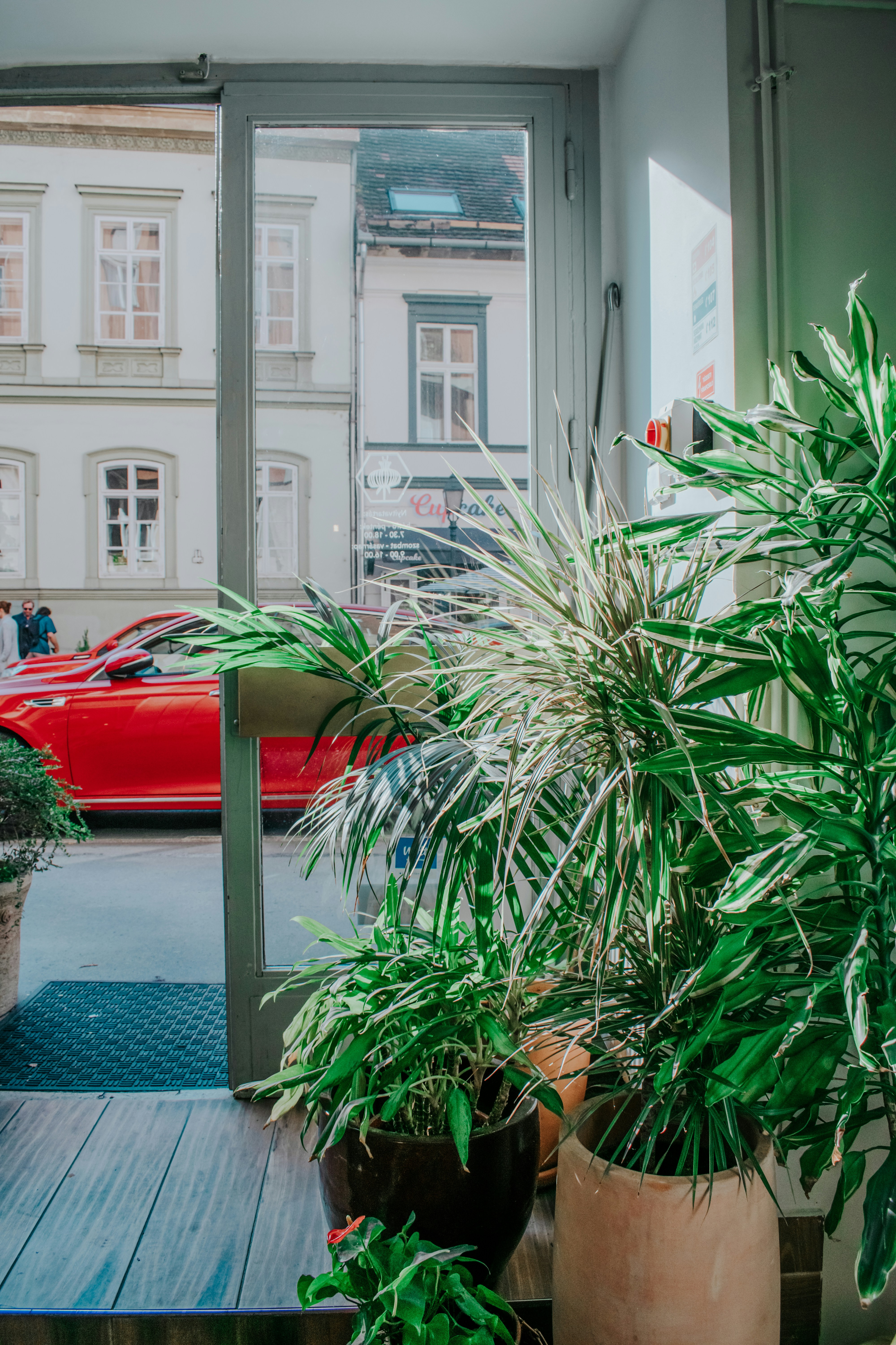 Photo by ceydaciftci