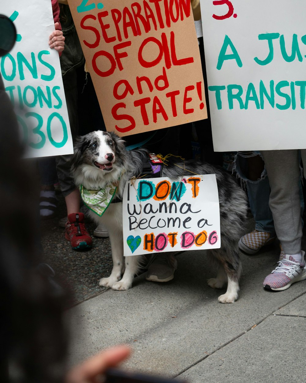 a group of people holding signs and a dog