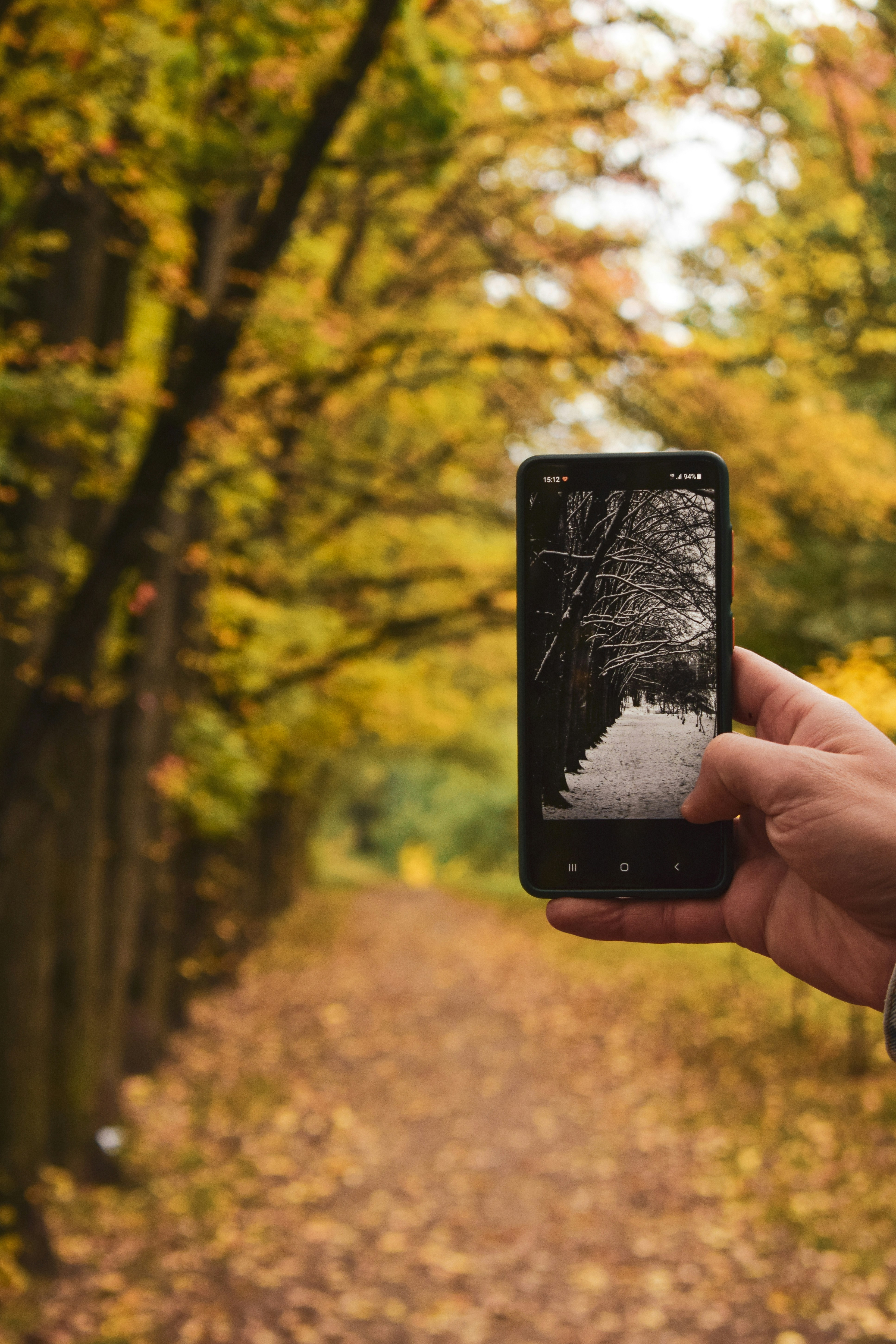 Photo by artem_makarov