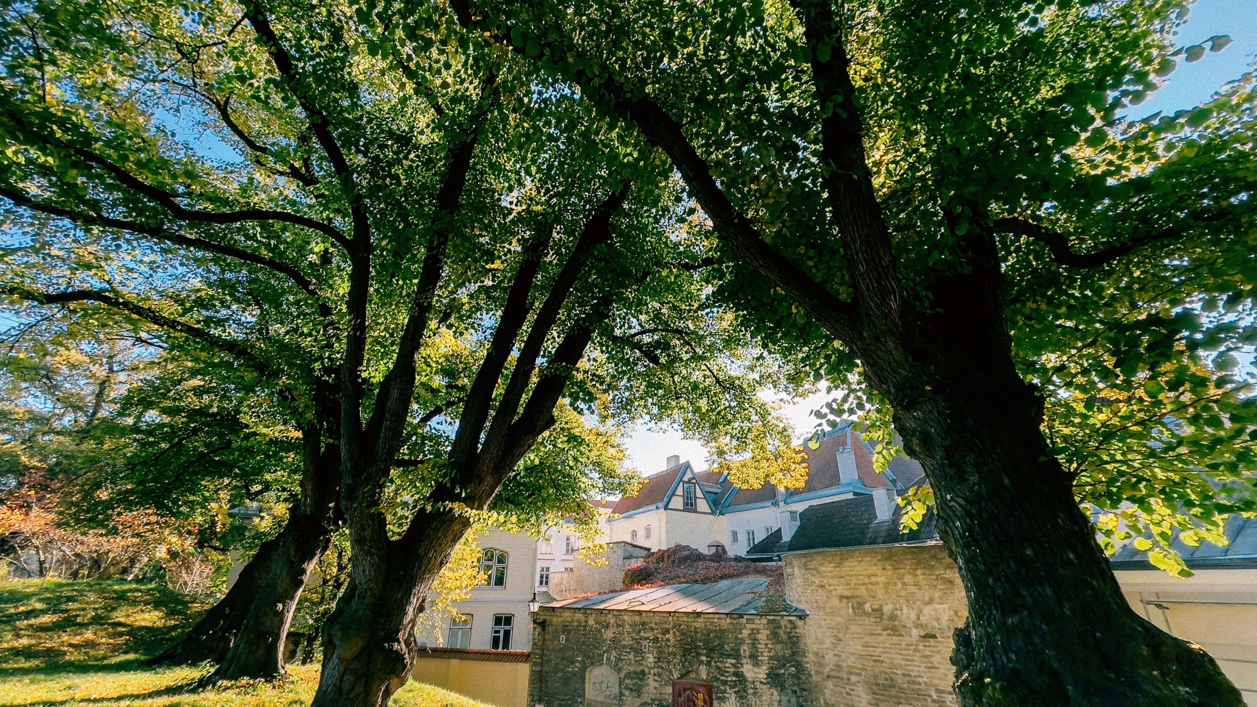 Photo by mark_zuravski