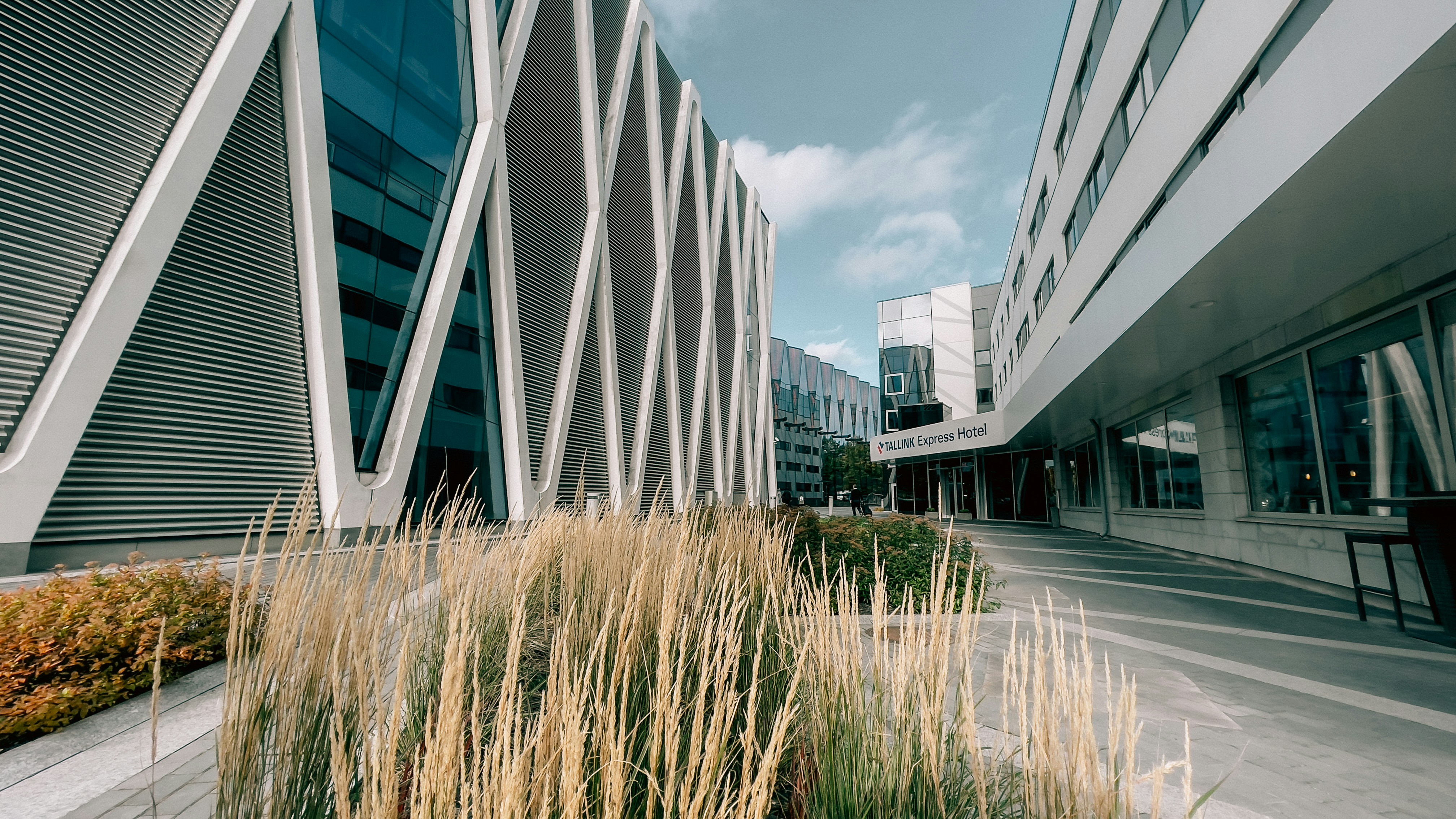 Photo by mark_zuravski