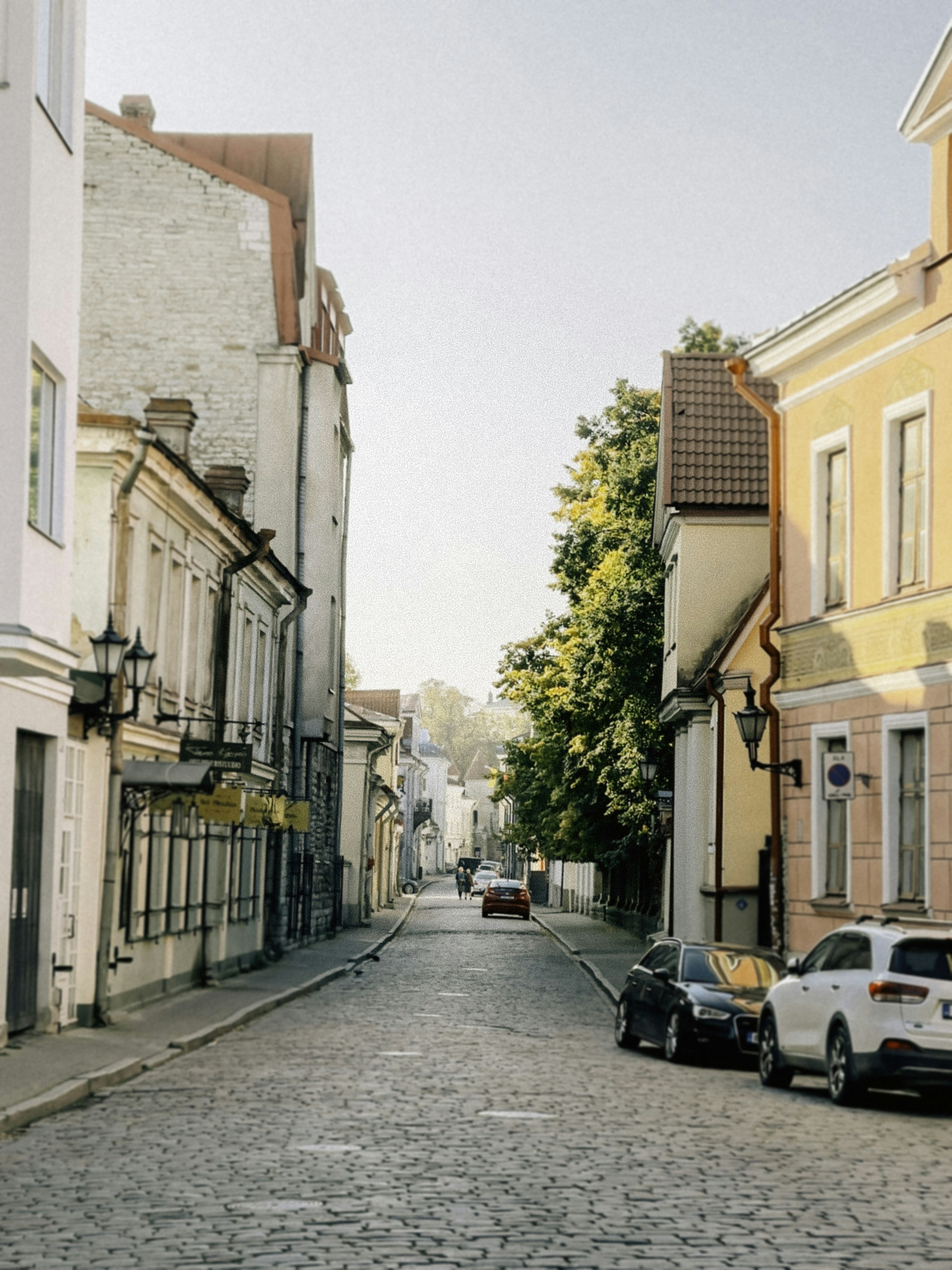 Photo by mark_zuravski