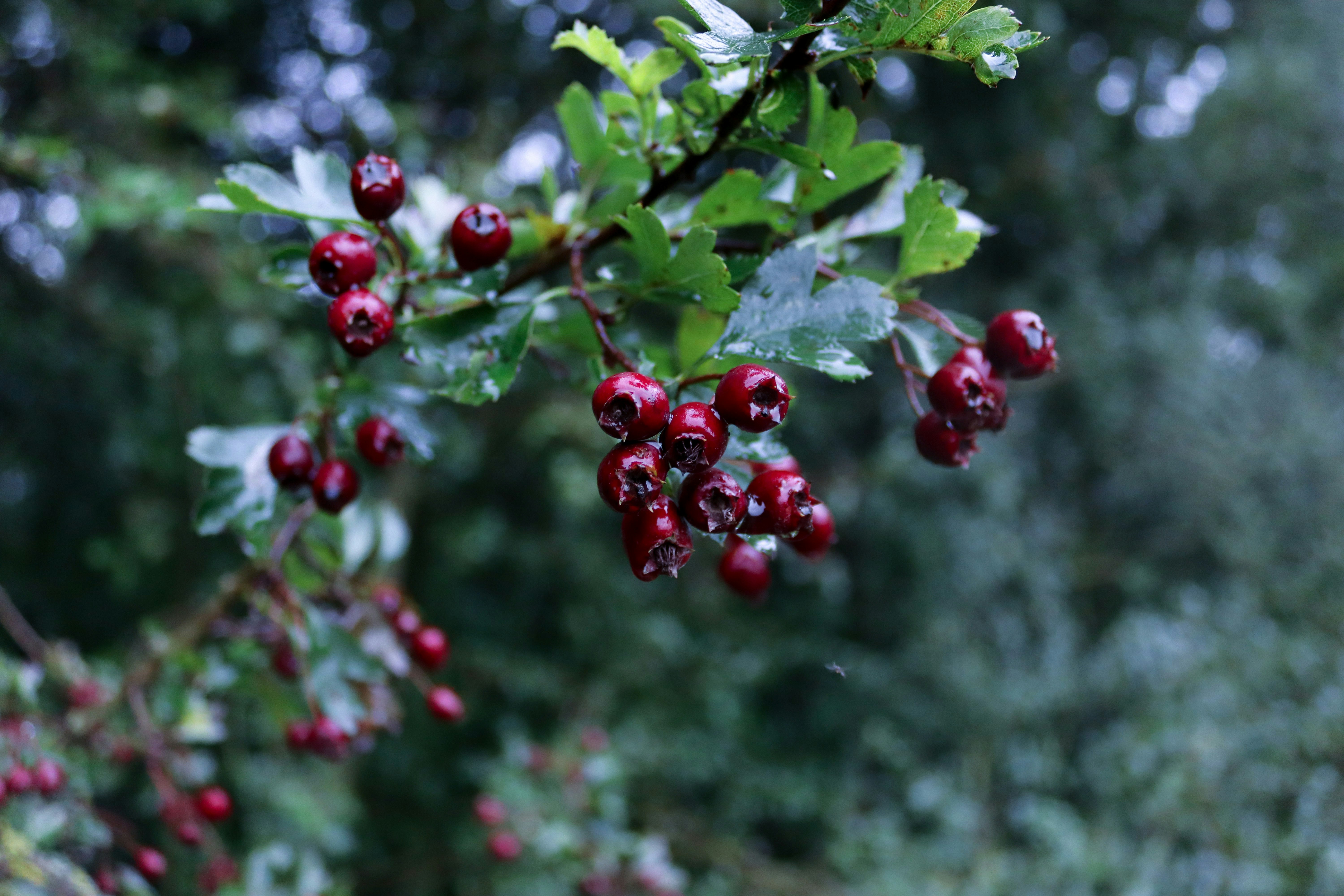 Photo by mihaioprisor