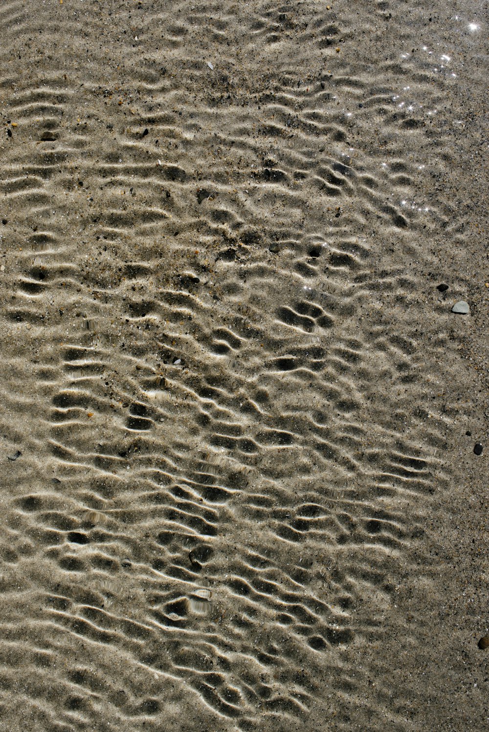 a sandy beach with footprints in the sand