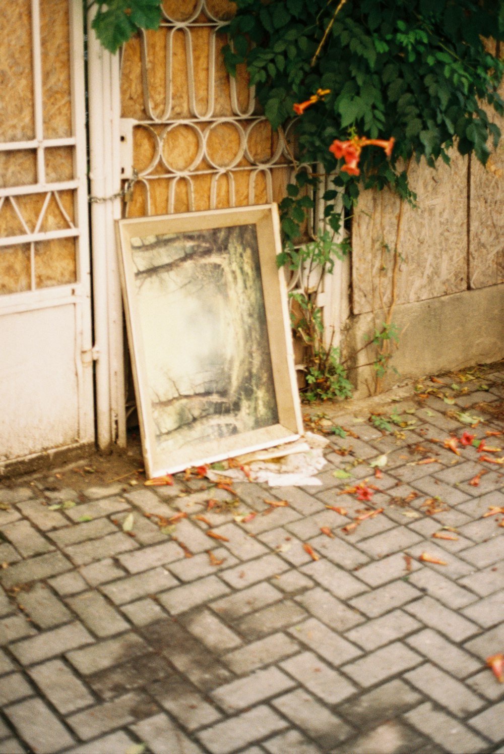 a picture of a picture on the ground next to a building