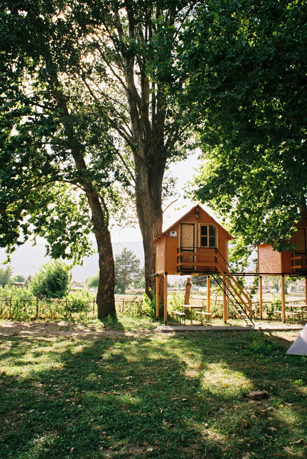 a tree house in the middle of a field