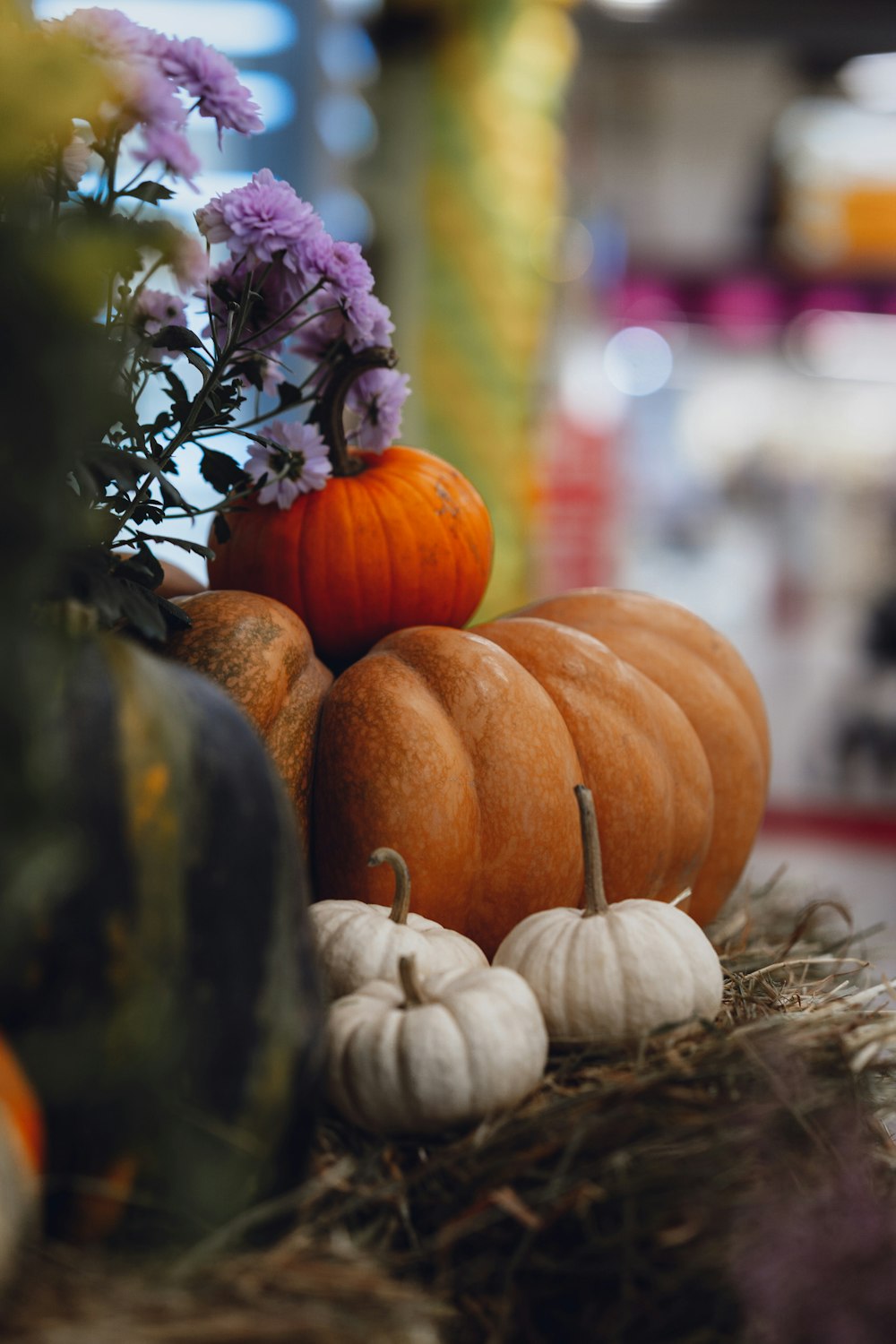 a display of pumpkins and gourds in a store