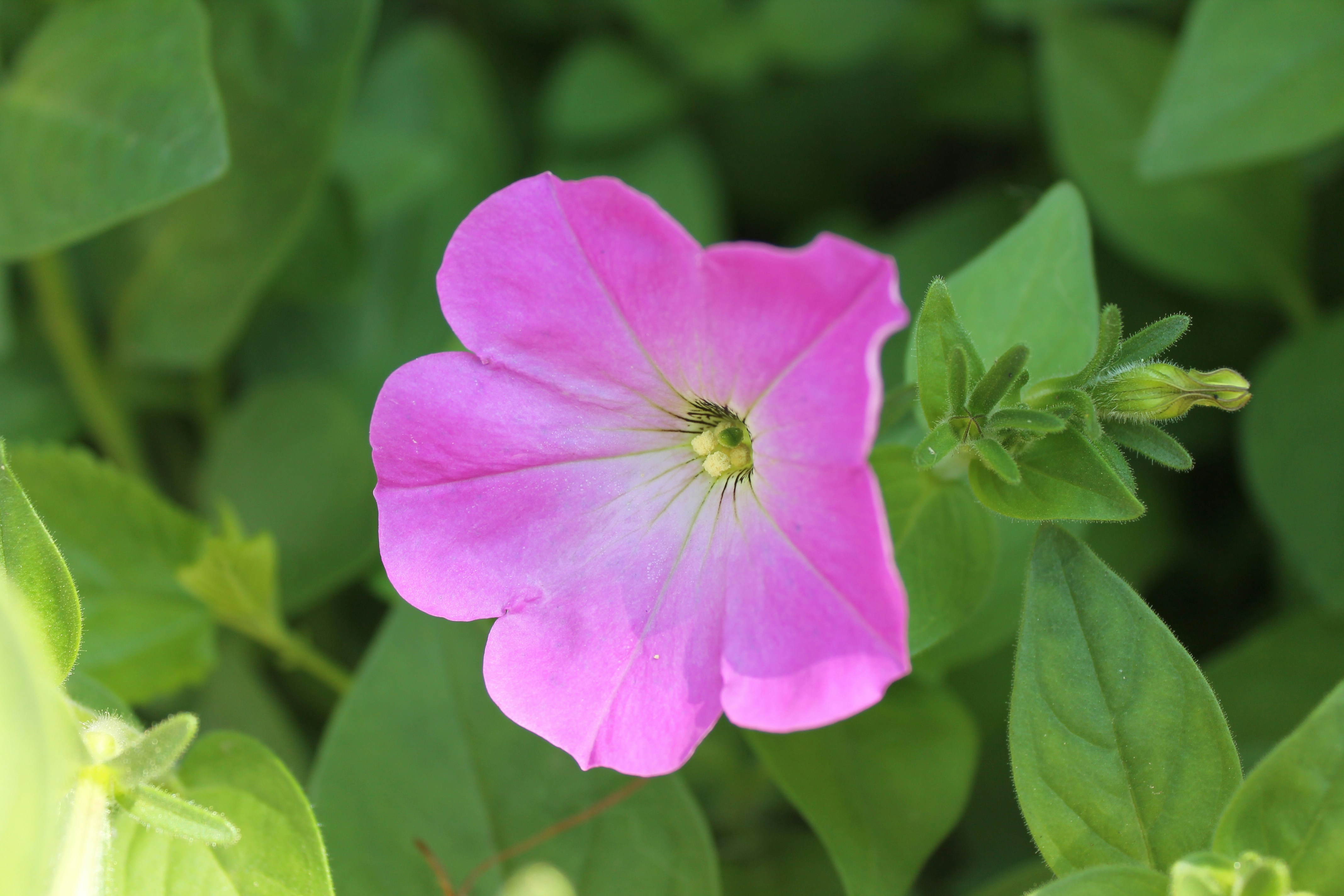 Photo by tinabratkova