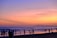 Smiling travelers enjoying a scenic beach sunset during a tropical vacation.
