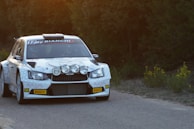 A rally car with white and hexagonal patterned decals is moving on a narrow road. The car has several additional front lights and visible sponsor logos, including Pirelli and OMP. Dense foliage lines the sides of the road, with some yellow flowers visible on the right.