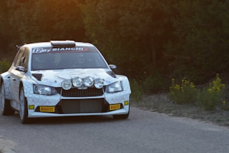 A rally car with white and hexagonal patterned decals is moving on a narrow road. The car has several additional front lights and visible sponsor logos, including Pirelli and OMP. Dense foliage lines the sides of the road, with some yellow flowers visible on the right.