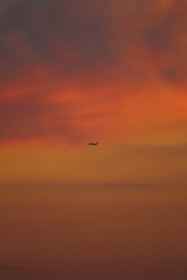 Close-up of a vibrant plane ascending against a sky with a gradient from day to sunset.