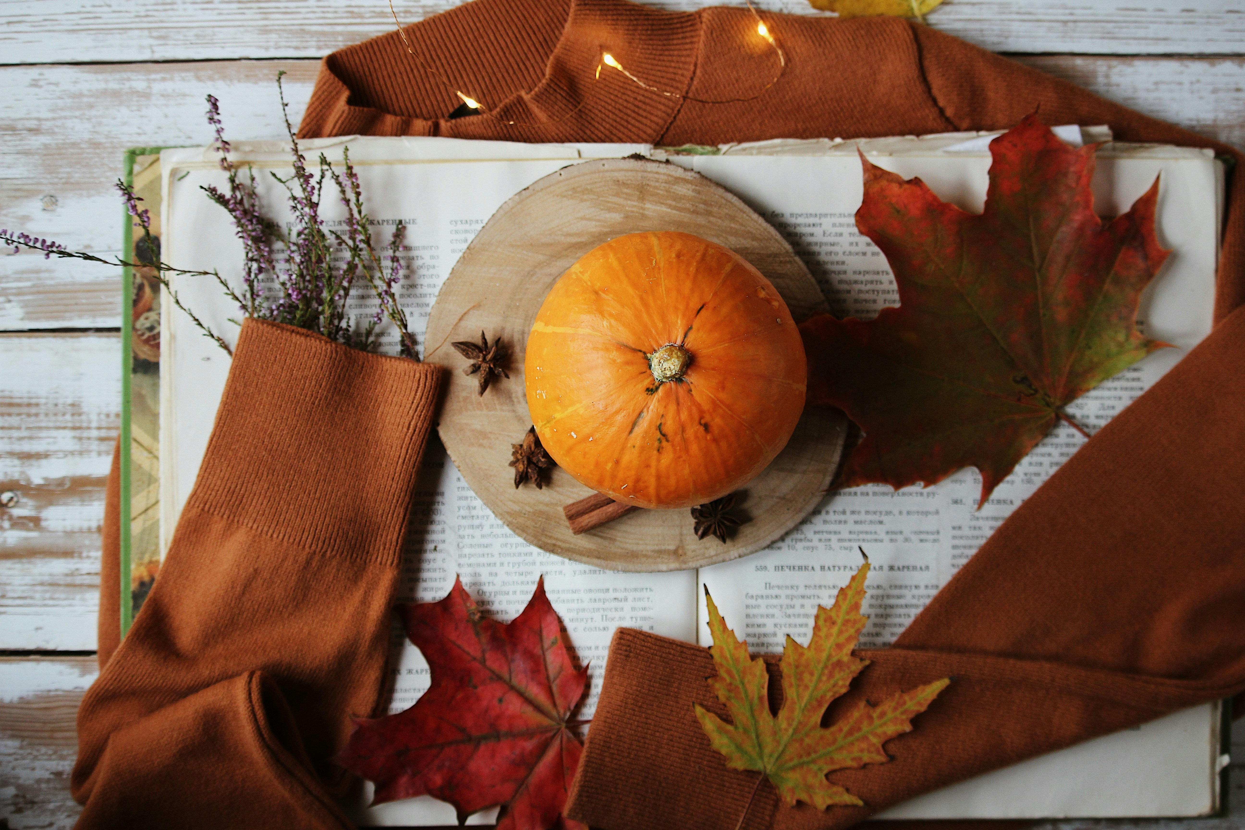 a pumpkin sitting on top of an open book
