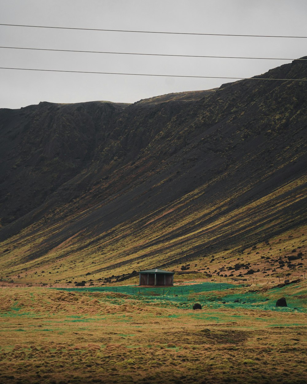 a large green field with a mountain in the background