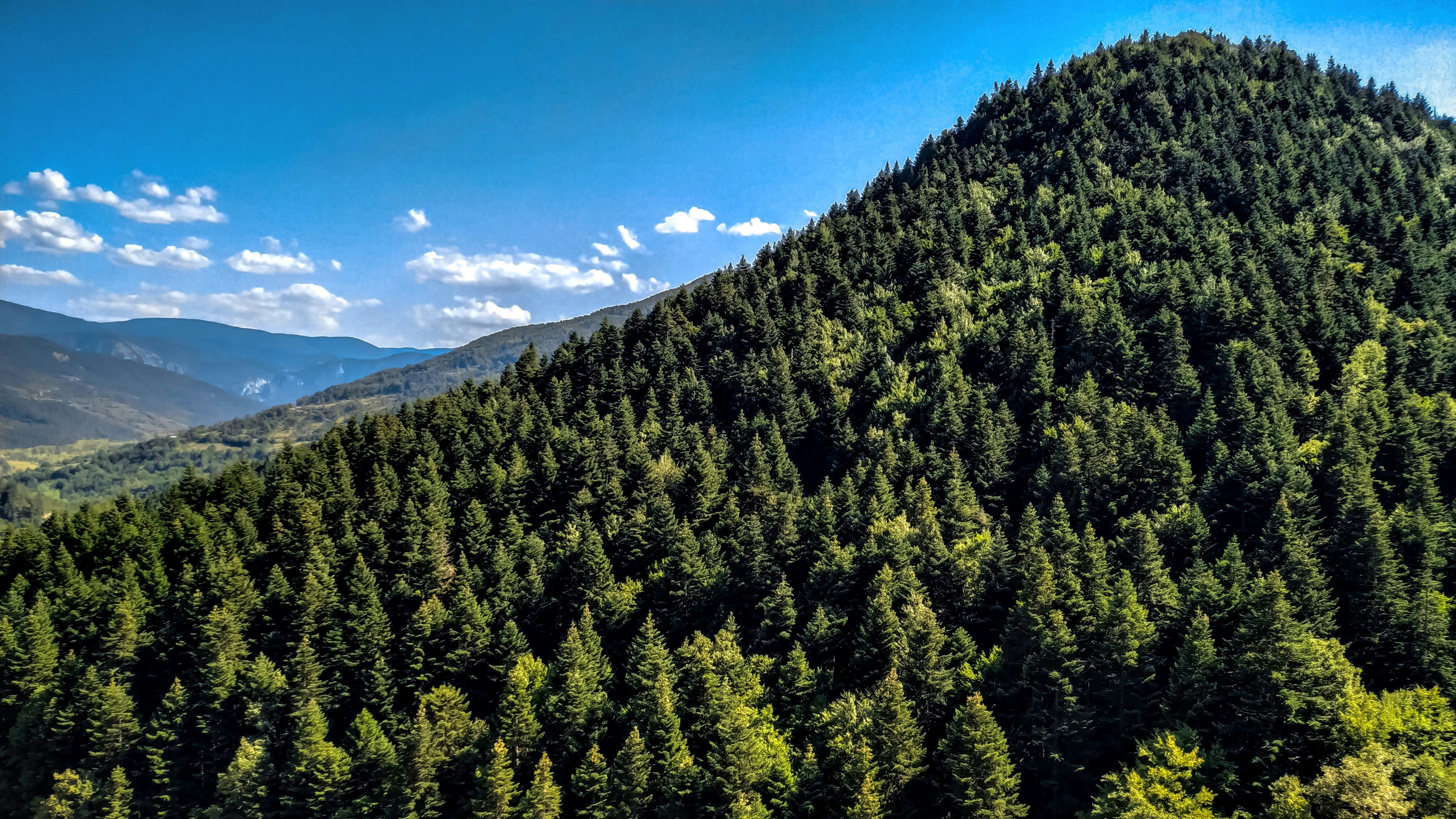 Photo by melihkrhmet