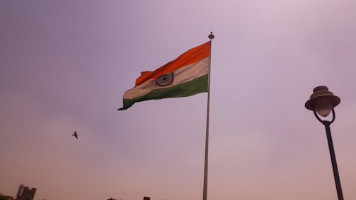 A large Indian national flag is hoisted on a pole against a clear sky. A bird is flying near the flag. There is also a street lamp on the right side of the image.