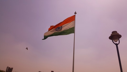 A large Indian national flag is hoisted on a pole against a clear sky. A bird is flying near the flag. There is also a street lamp on the right side of the image.