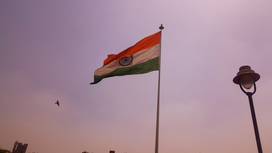A large Indian national flag is hoisted on a pole against a clear sky. A bird is flying near the flag. There is also a street lamp on the right side of the image.