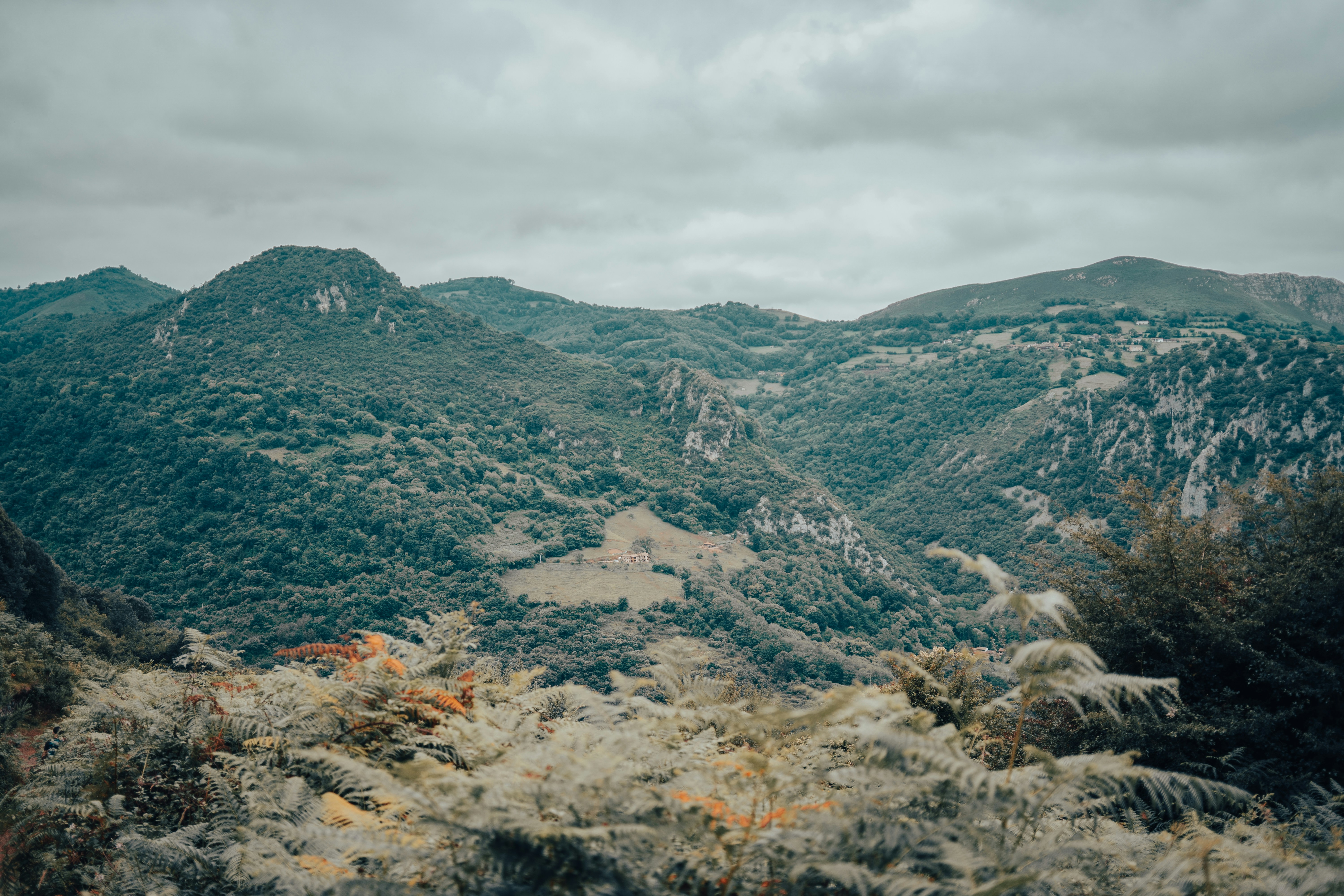 Photo by albertohlfrias