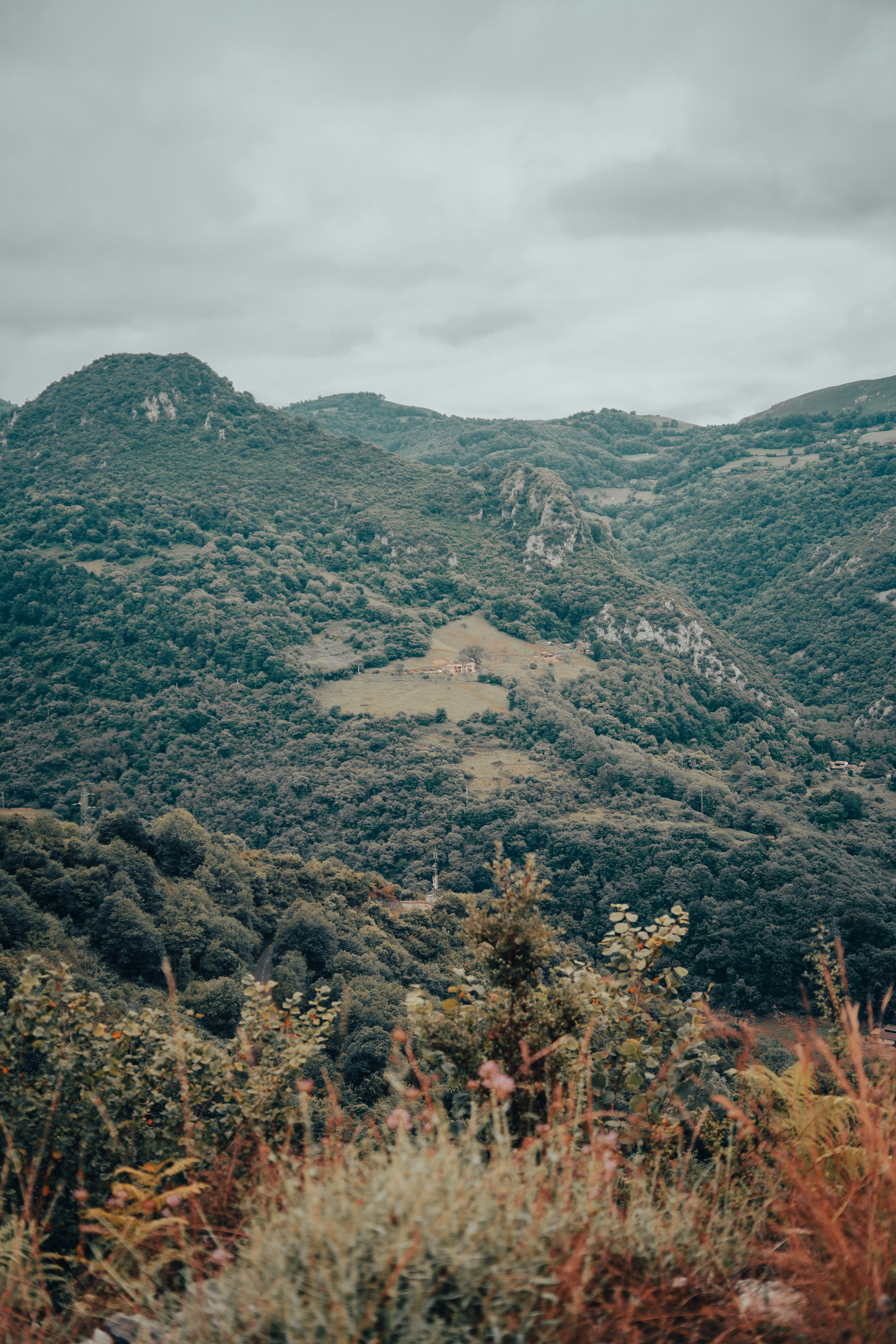 Photo by albertohlfrias