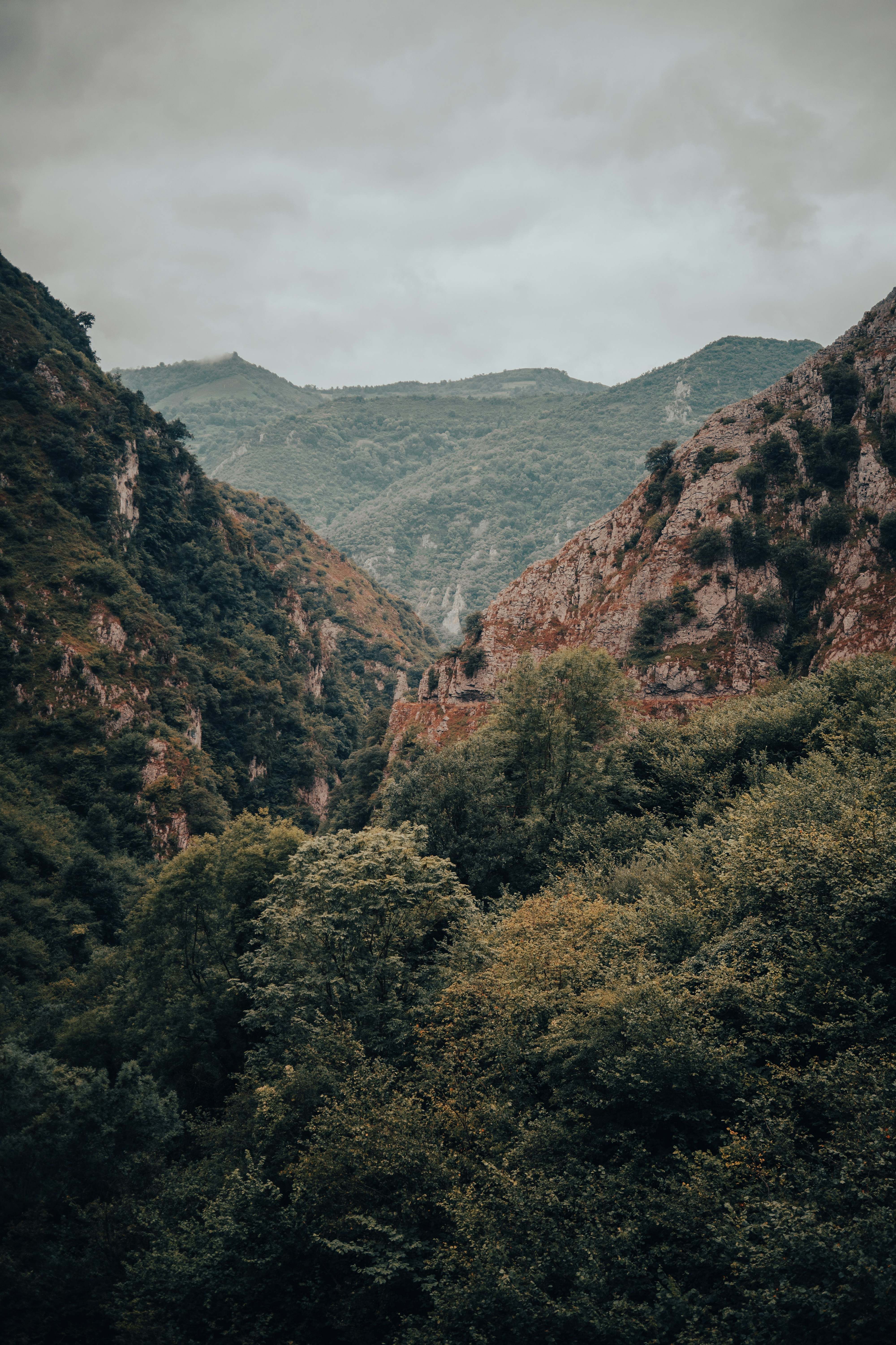 Photo by albertohlfrias