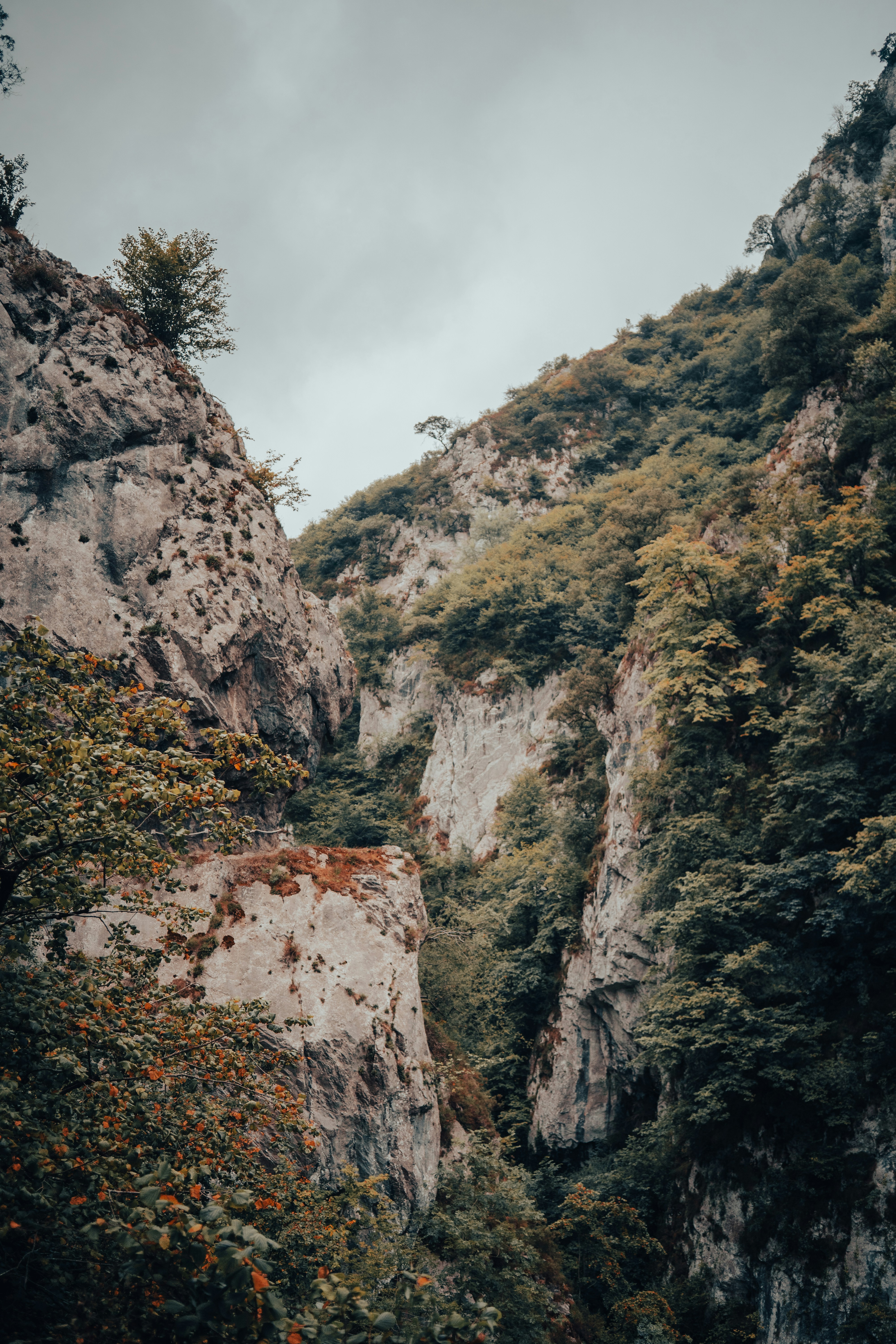 Photo by albertohlfrias