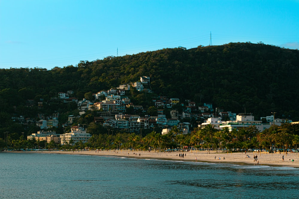 a beach with a hill in the background
