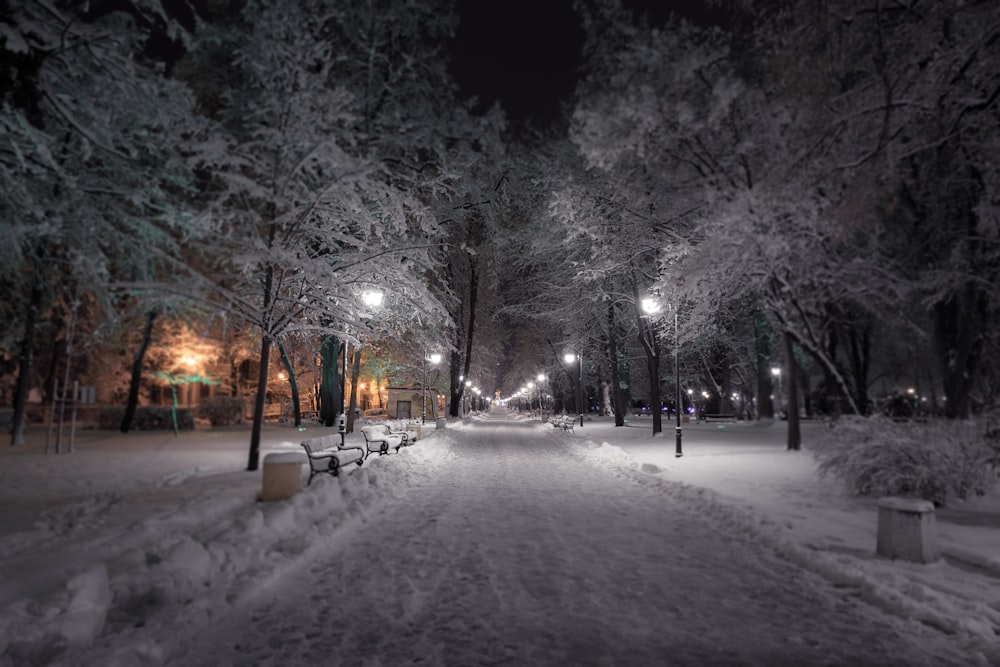 a snowy park at night with benches and street lights